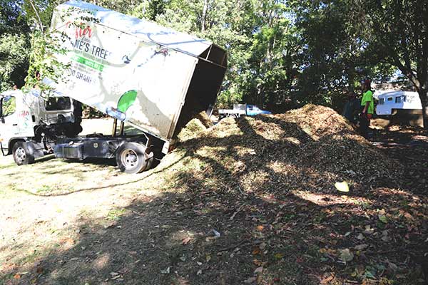 wood chip mulch for the garden